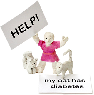 Person and cats holding signs