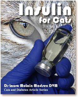 Cats and Diabetes Article Cover - Insulin for Cats